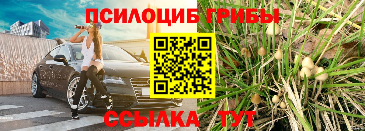 Ачинск  Галлюциногенные грибы Magic Shrooms  Вход с VPN  Галлюциногенные грибы мухоморы 